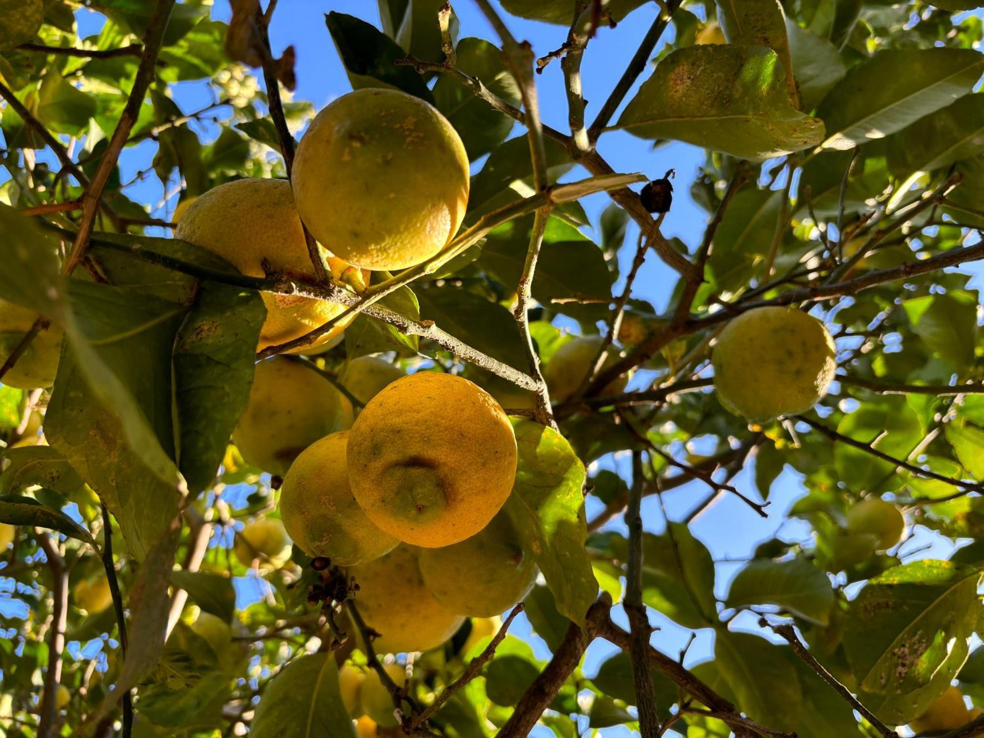 Ificumori, Campagna Ammare Villa Marina di Modica Luaran gambar