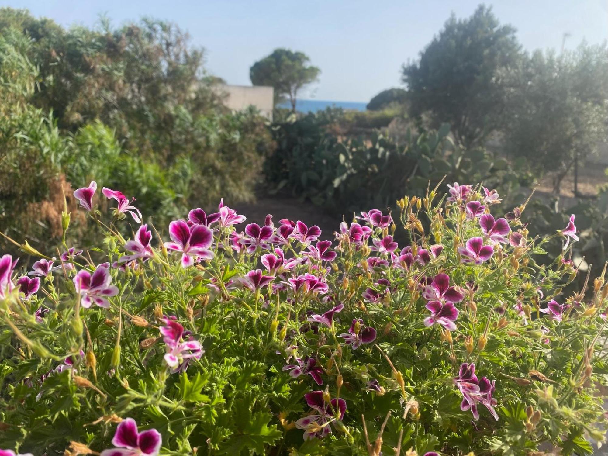 Ificumori, Campagna Ammare Villa Marina di Modica Luaran gambar