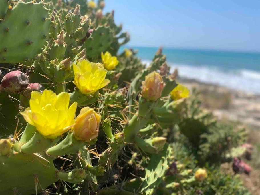Ificumori, Campagna Ammare Villa Marina di Modica Luaran gambar