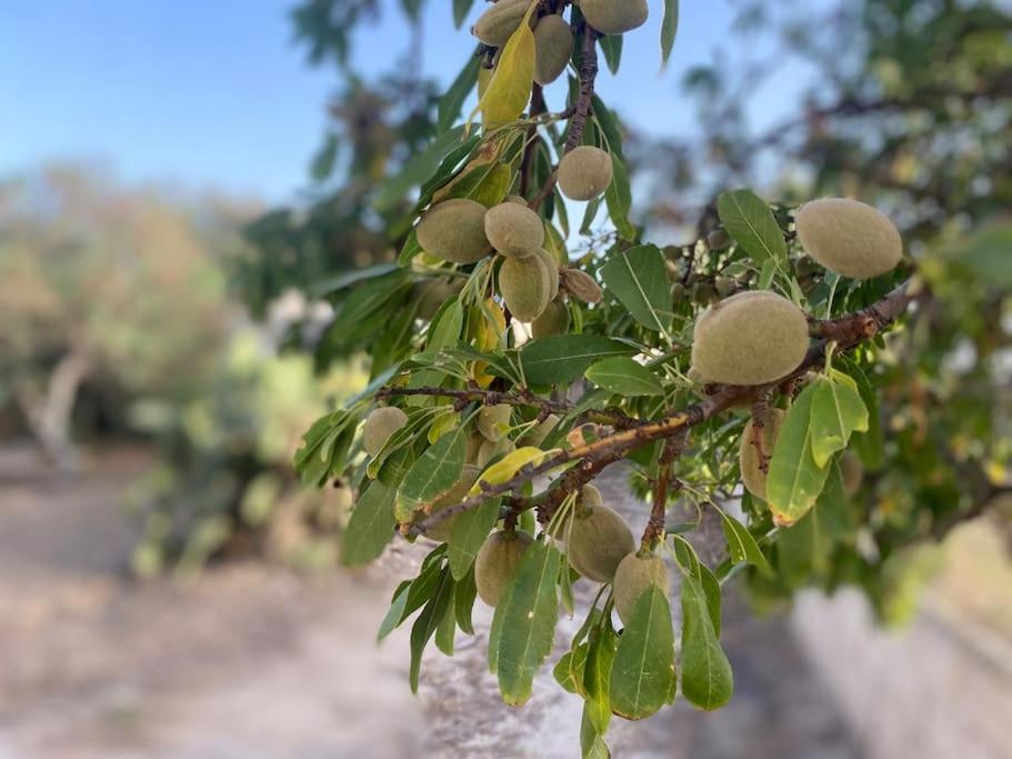 Ificumori, Campagna Ammare Villa Marina di Modica Luaran gambar