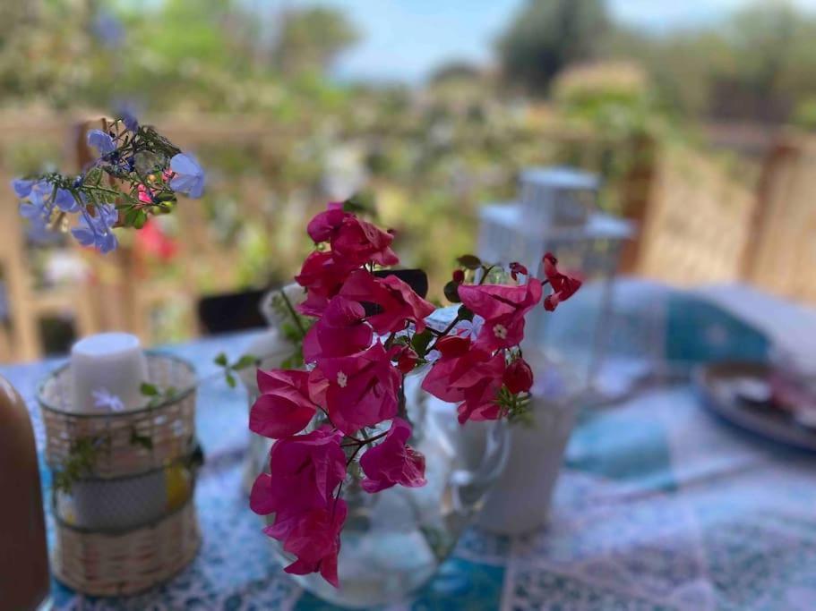 Ificumori, Campagna Ammare Villa Marina di Modica Luaran gambar