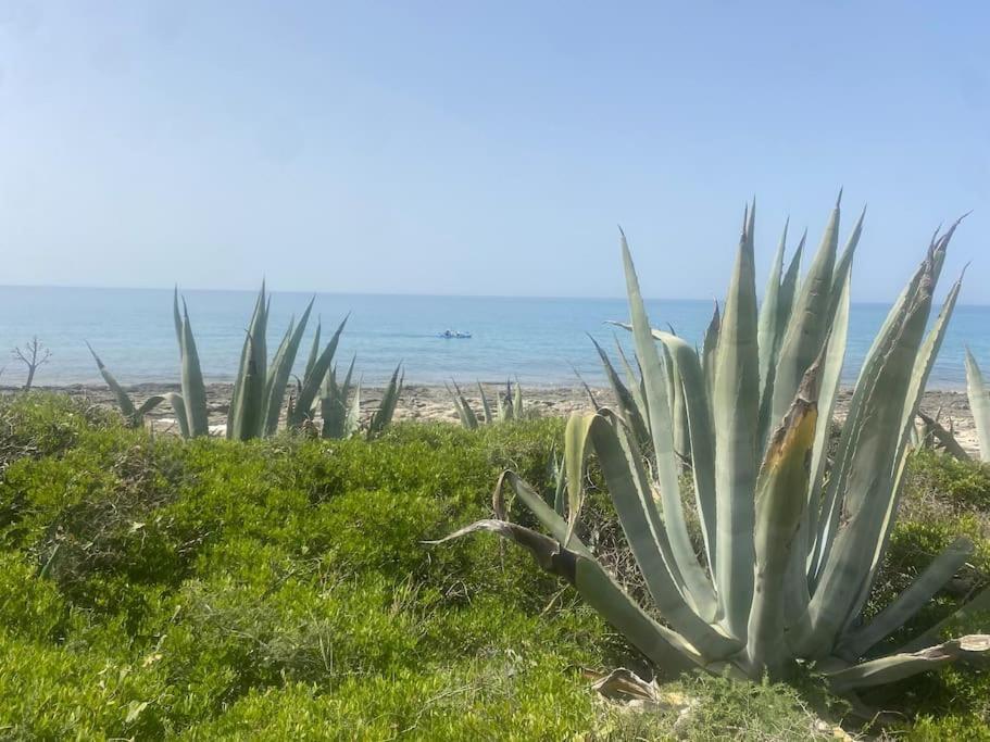Ificumori, Campagna Ammare Villa Marina di Modica Luaran gambar