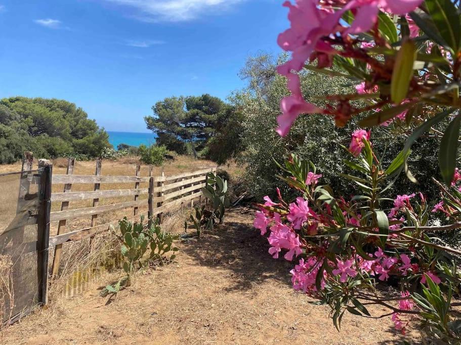 Ificumori, Campagna Ammare Villa Marina di Modica Luaran gambar