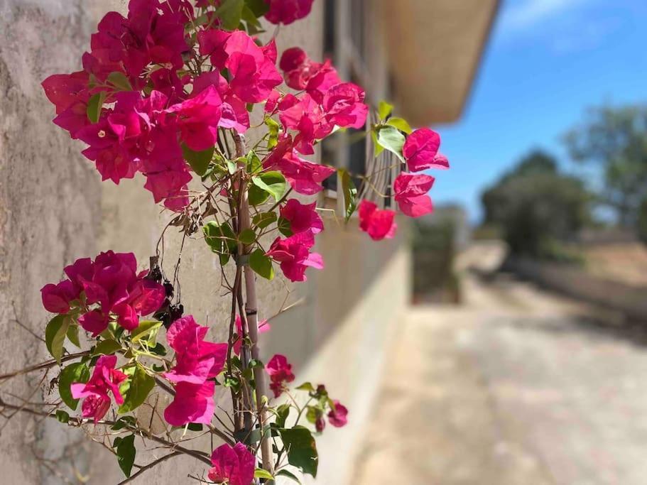 Ificumori, Campagna Ammare Villa Marina di Modica Luaran gambar