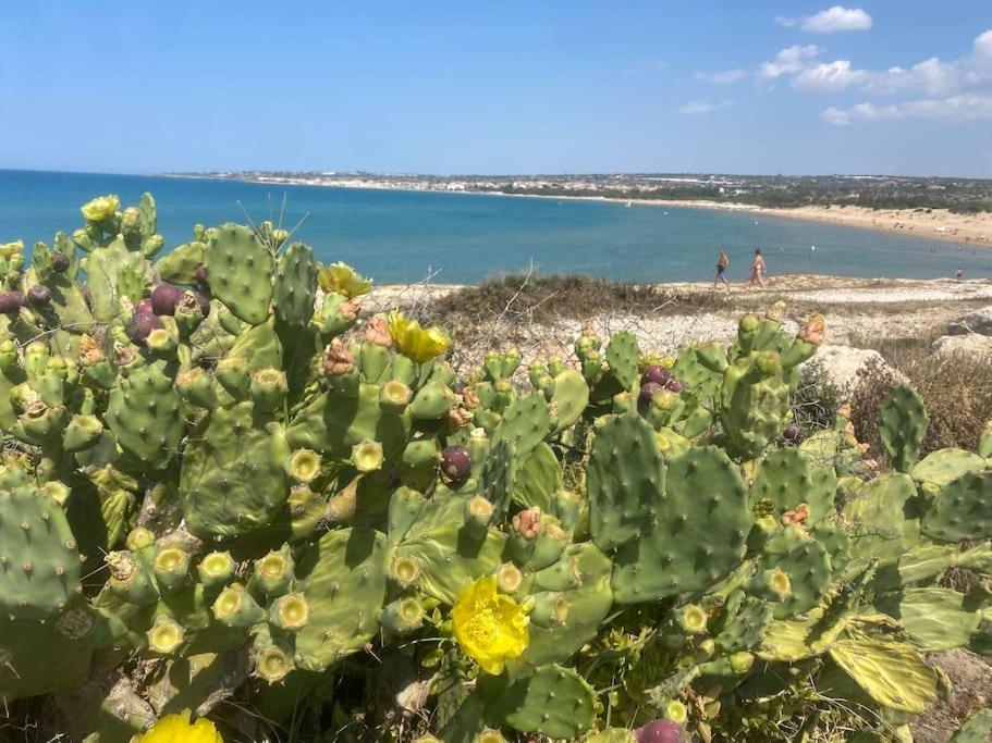 Ificumori, Campagna Ammare Villa Marina di Modica Luaran gambar