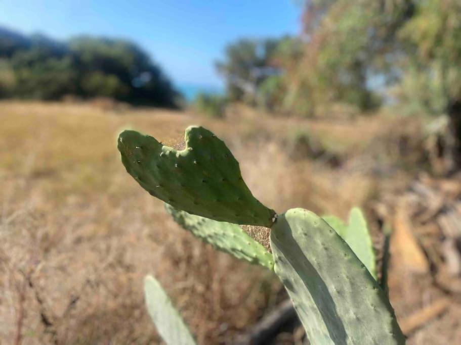 Ificumori, Campagna Ammare Villa Marina di Modica Luaran gambar