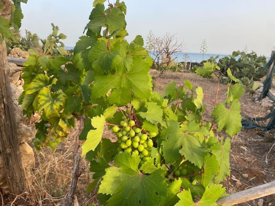Ificumori, Campagna Ammare Villa Marina di Modica Luaran gambar