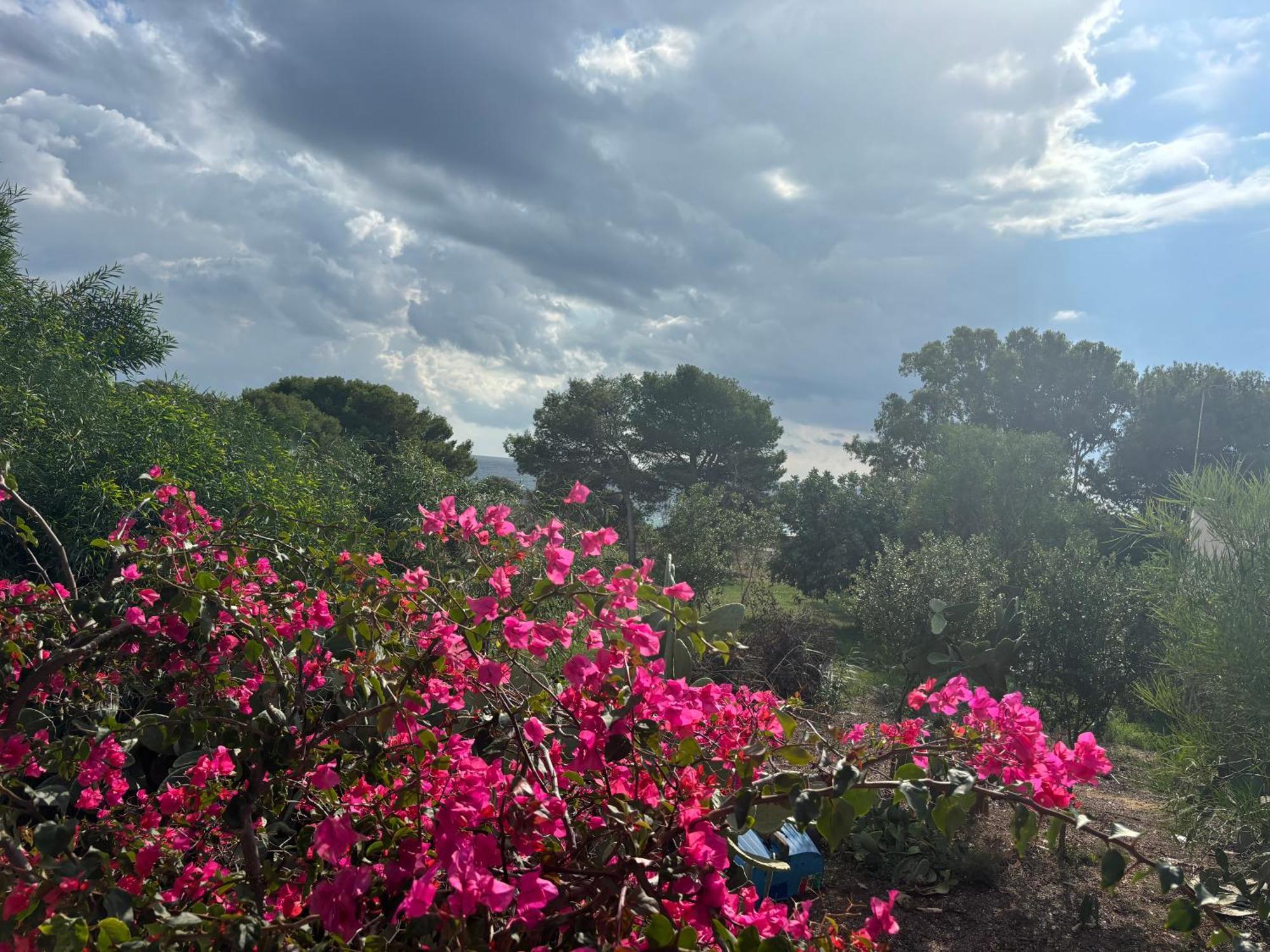 Ificumori, Campagna Ammare Villa Marina di Modica Luaran gambar
